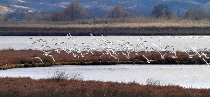  Kanatadika, Lakes, wondergreece.gr