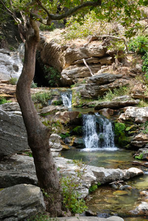  Mount Ochi, Mountains, wondergreece.gr