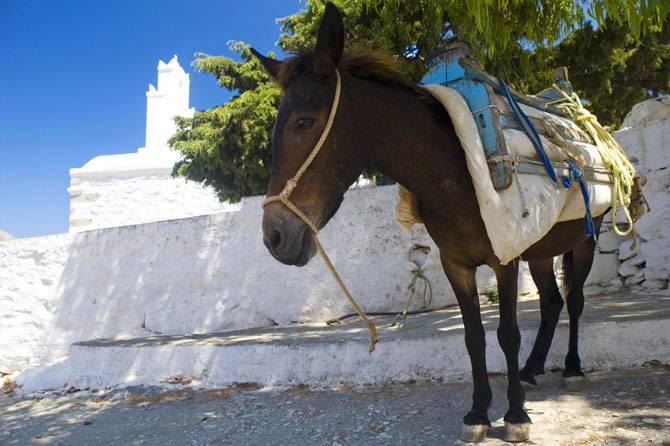  Ποταμός , Πόλεις & Χωριά, wondergreece.gr