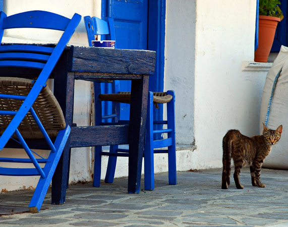  Εύδηλος, Πόλεις & Χωριά, wondergreece.gr