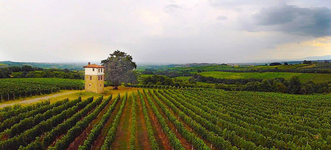  Kir-Yianni Winery, Wineries, wondergreece.gr