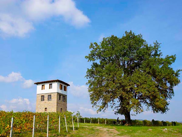  Kir-Yianni Winery, Wineries, wondergreece.gr