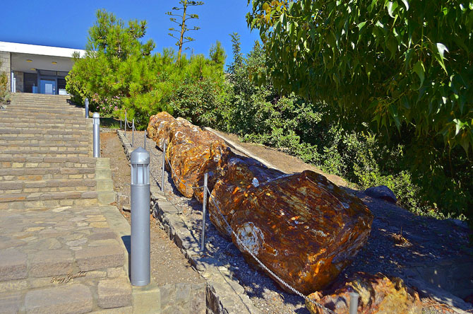  Natural History Museum of the Lesvos Petrified Forest, Museums, wondergreece.gr