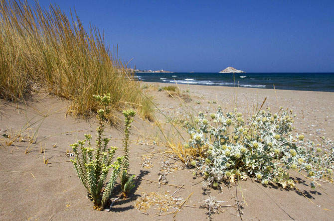  Kampos Antissa, Beaches, wondergreece.gr