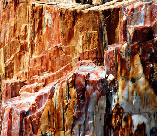  Natural History Museum of the Lesvos Petrified Forest, Museums, wondergreece.gr