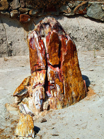  Petrified Forest of Lesvos, Monuments & sights, wondergreece.gr