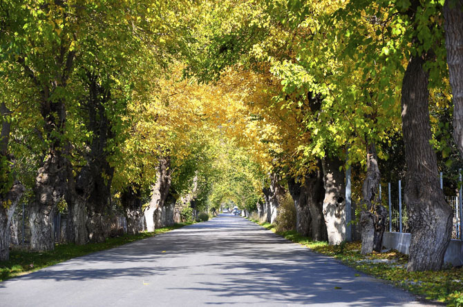  Skala Eressou , Main cities & villages, wondergreece.gr