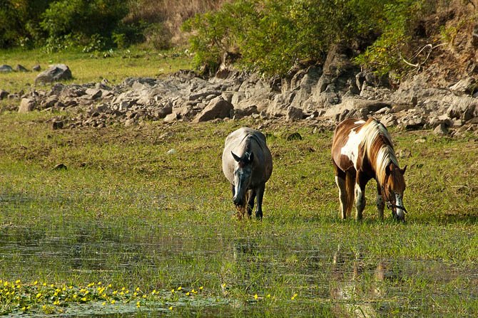  Lake Kerkini, Lakes, wondergreece.gr