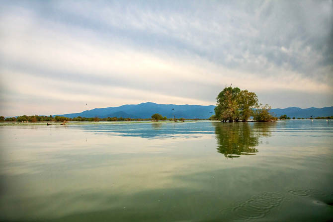  Lake Kerkini, Lakes, wondergreece.gr