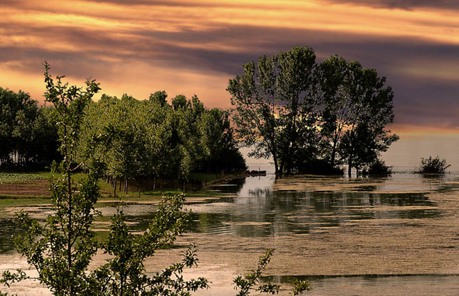  Lake Kerkini, Lakes, wondergreece.gr