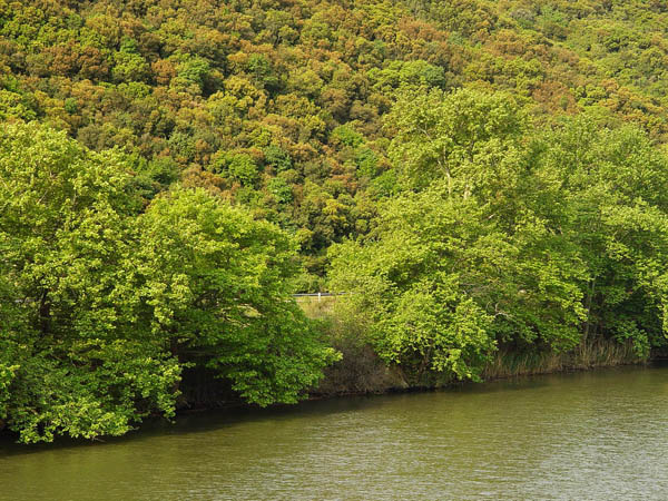  Strymonas, Rivers, wondergreece.gr