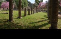 Ancient Olympia, Ilia Prefecture, wondergreece.gr