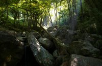 Pelion, Magnesia Prefecture, wondergreece.gr