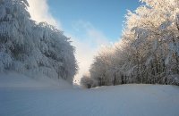Pelion Ski Center, Fthiotida Prefecture, wondergreece.gr