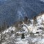 Elati & Pertouli, Larisa Prefecture, wondergreece.gr