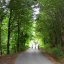 Forest of Polydendri, Larisa Prefecture, wondergreece.gr