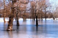 Καστανιές, Ν. Έβρου, wondergreece.gr