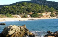 Thymari, Attiki Prefecture, wondergreece.gr