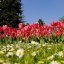 Park of Naousa, Imathia Prefecture, wondergreece.gr