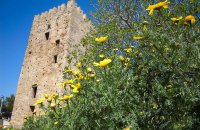 Potiri Castle, Evia Prefecture, wondergreece.gr