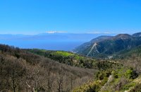 Όρος Τελέθριο , Ν. Ευβοίας, wondergreece.gr