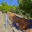 Natural History Museum of the Lesvos Petrified Forest, Lesvos, wondergreece.gr