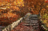 Kleidonia bridge-Aristi bridge, Ioannina Prefecture, wondergreece.gr