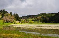 Nevropoli Lake, Fthiotida Prefecture, wondergreece.gr