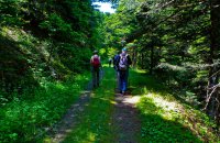 Hiking in Oiti, Fthiotida Prefecture, wondergreece.gr