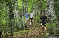 Running races Ursa Trail , Articles, wondergreece.gr