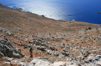 Sfakia Vertical Run 2016, Articles, wondergreece.gr