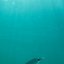 Scuba Diving, Magnesia Prefecture, wondergreece.gr
