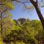 National Park of Dadia Forest, Rodopi Prefecture, wondergreece.gr