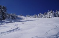 Mainalo Ski Center, Arcadia Prefecture, wondergreece.gr
