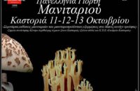 10th Panhellenic Mushroom Festival, Articles, wondergreece.gr