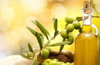 Olive tree, the natural wealth, Articles, wondergreece.gr